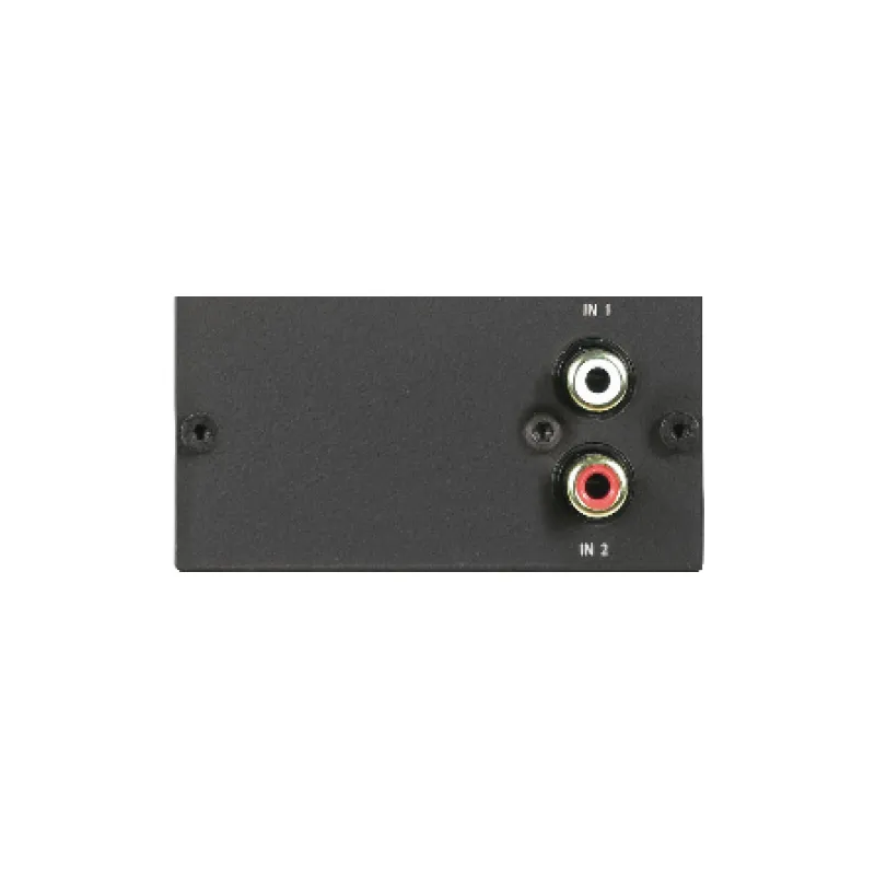 LB – 2 × IN-CINCH – 2-Kanal-Eingangsmodul mit Cinch-Eingängen