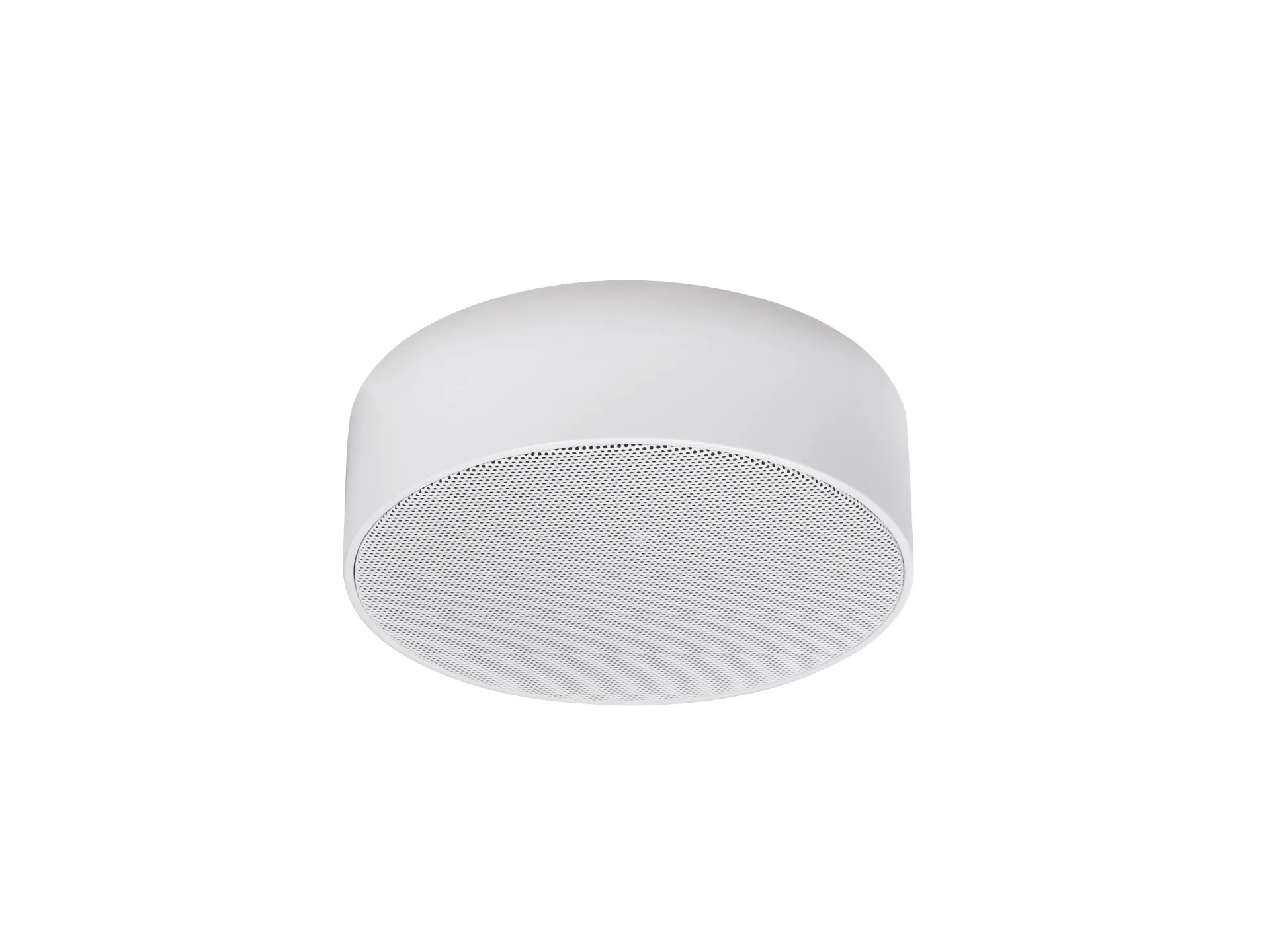 LB – DA 250 Polar – Aufbaulautsprecher